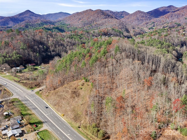 0000 Lickskillet Rd, Burnsville, NC 28714 - photo 14