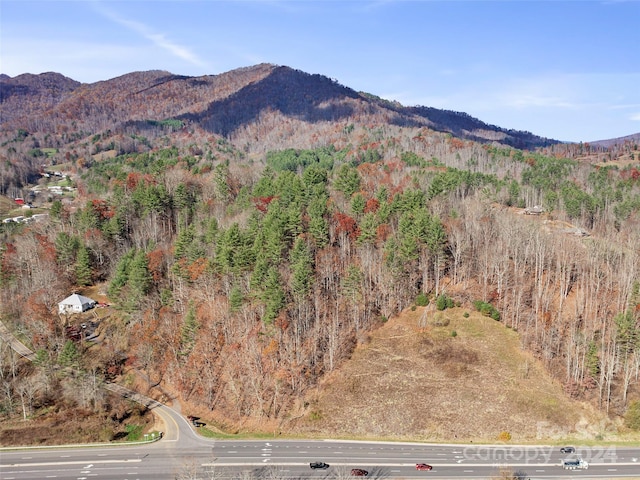 0000 Lickskillet Rd, Burnsville, NC 28714 - photo 16
