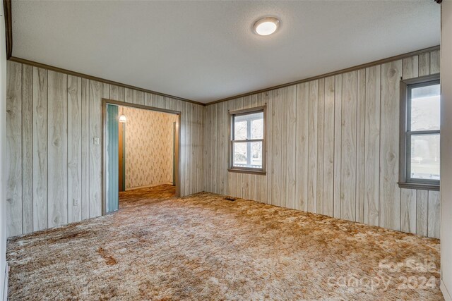 unfurnished room with wood walls, carpet, a textured ceiling, and ornamental molding