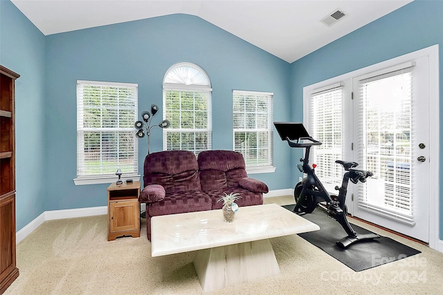 16404 Grassy Creek Dr, Huntersville, NC 28078 - workout area with vaulted ceiling, baseboards, light carpet, and healthy amount of natural light