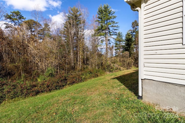 16 Joel Rdg, Alexander, NC 28701 - photo 10