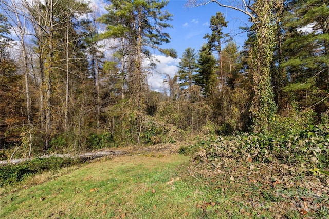 16 Joel Rdg, Alexander, NC 28701 - photo 29