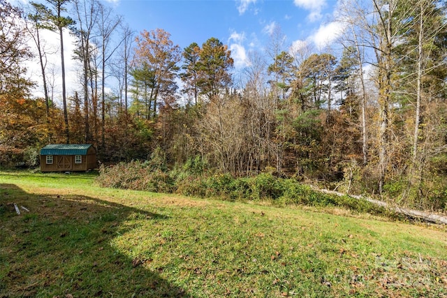 view of yard with a storage unit