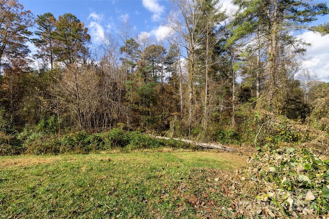 view of local wilderness