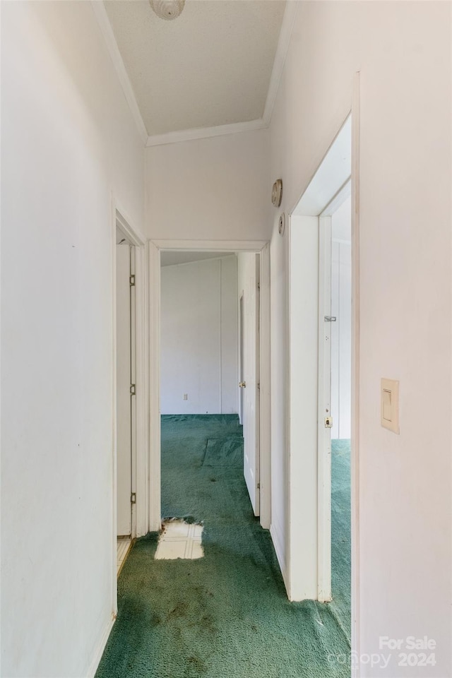 16 Joel Rdg, Alexander, NC 28701 - photo 21
