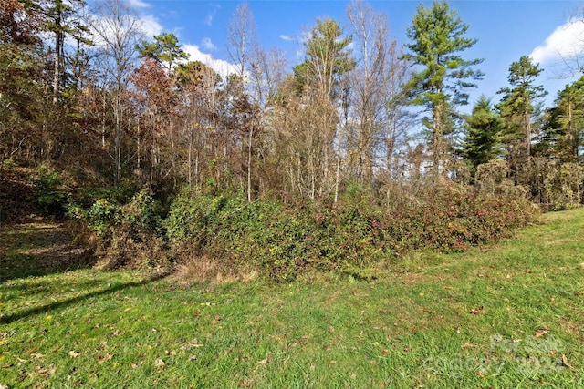 16 Joel Rdg, Alexander, NC 28701 - photo 28