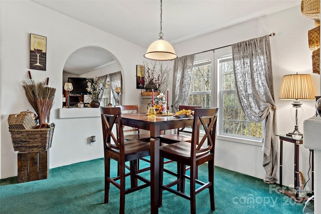 dining room featuring carpet