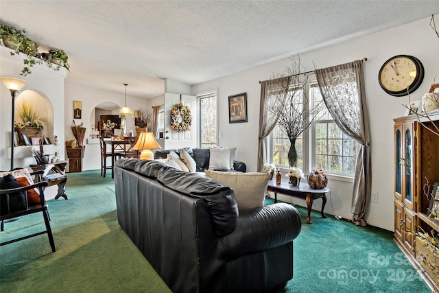 living room with carpet, a wealth of natural light, and a textured ceiling