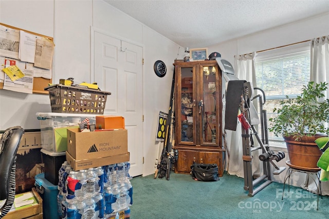 miscellaneous room featuring a textured ceiling and carpet floors