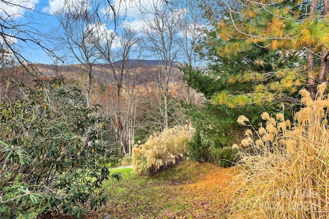 view of local wilderness featuring a mountain view