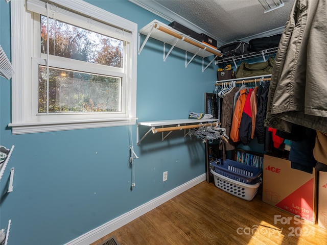 walk in closet featuring wood-type flooring