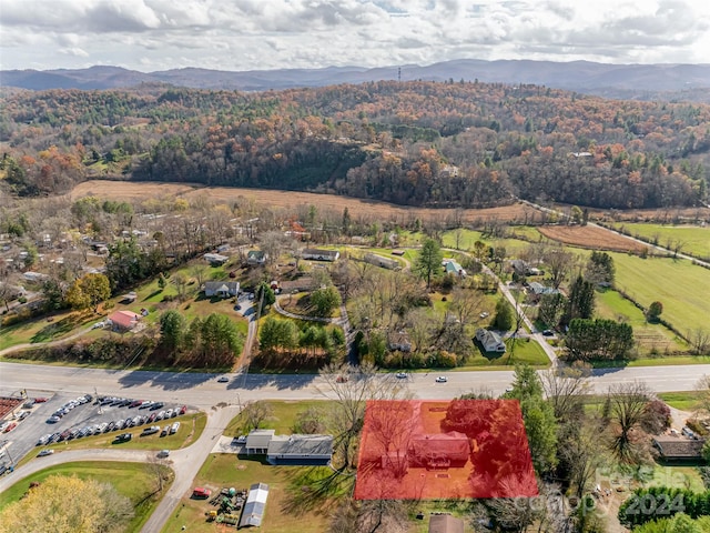 bird's eye view featuring a mountain view