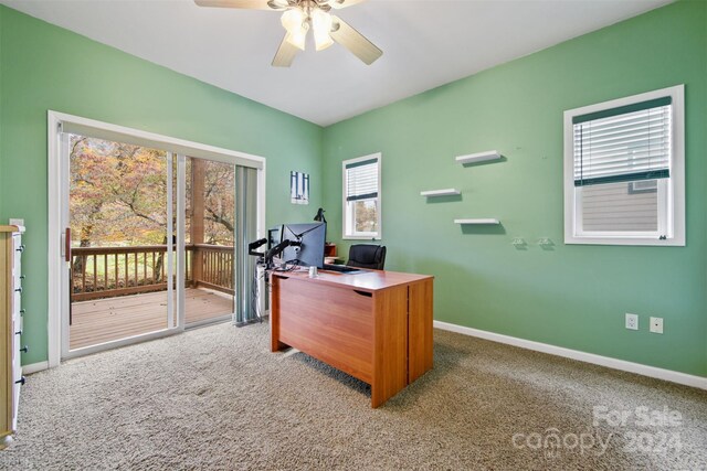 688 Olympic Dr Unit 2, Whittier, NC 28789 - home office with light carpet, a ceiling fan, and baseboards