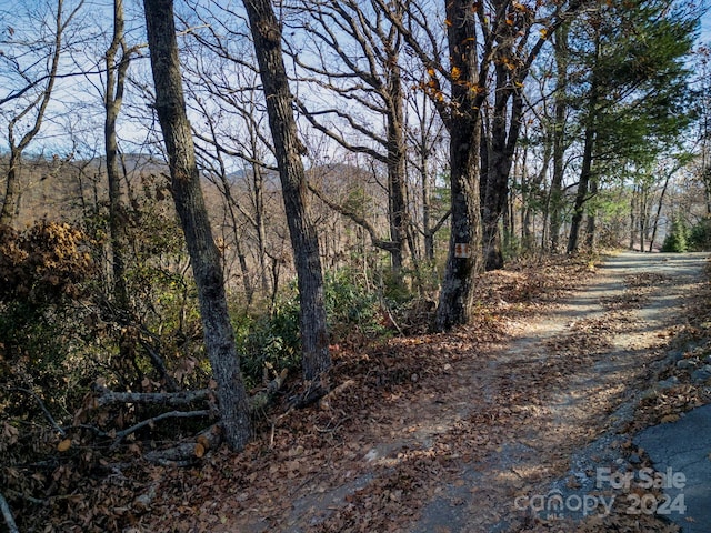 Listing photo 2 for 1791 Old Mill Rd, Hendersonville NC 28792