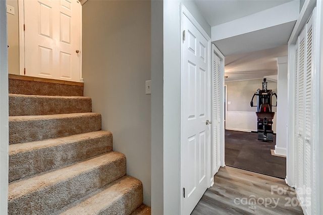 stairway with wood-type flooring