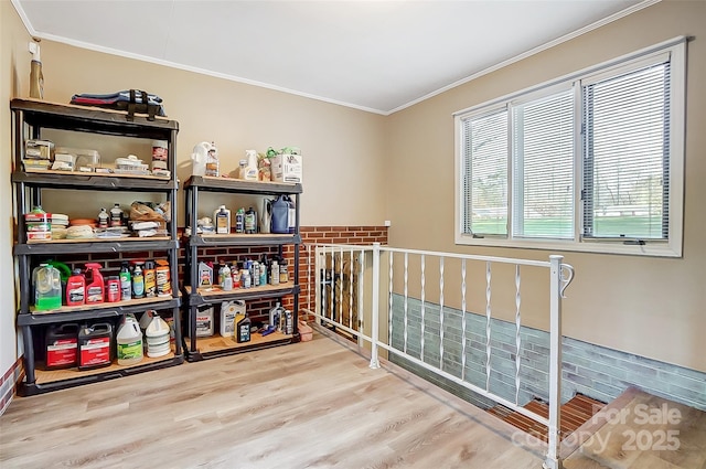 interior space featuring light hardwood / wood-style floors and crown molding