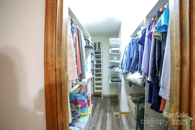 spacious closet with wood-type flooring