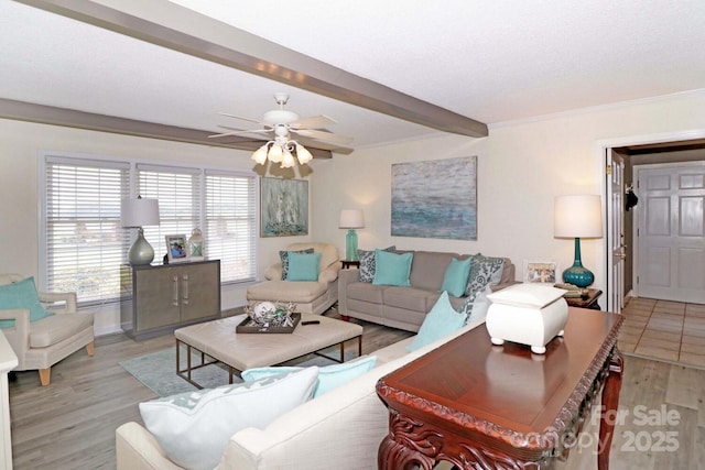 living room featuring beamed ceiling, ceiling fan, and light wood-type flooring