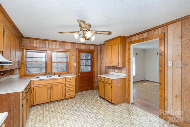 kitchen featuring sink, ceiling fan, ornamental molding, a textured ceiling, and light hardwood / wood-style floors