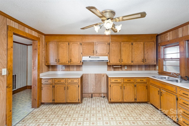 kitchen with a textured ceiling, wood walls, ornamental molding, and sink