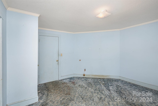 carpeted spare room with a textured ceiling and ornamental molding