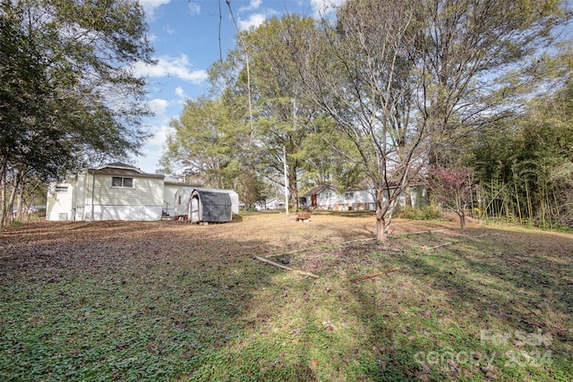 view of yard with a storage unit