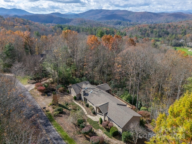 aerial view with a mountain view