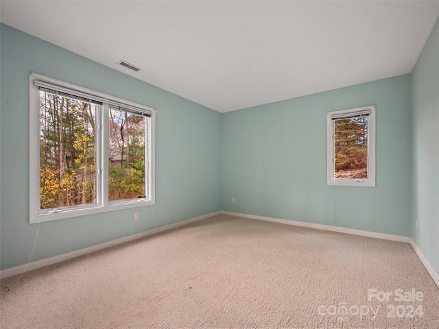 empty room with a healthy amount of sunlight and carpet floors