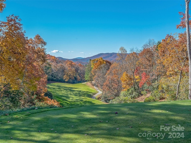 70 Old Hickory Trl, Hendersonville, NC 28739 - photo 46