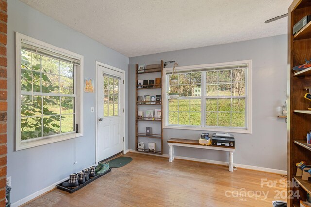 entryway featuring a textured ceiling and light wood-type flooring