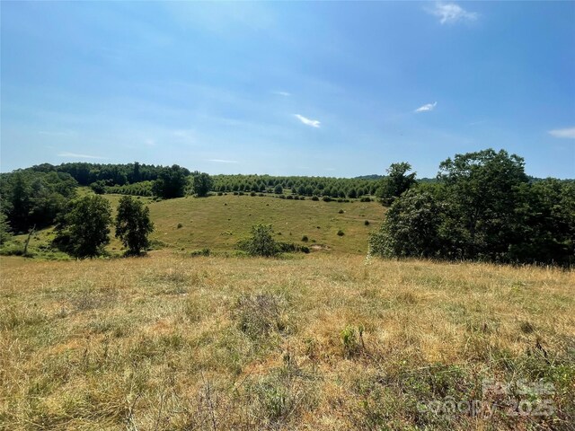 TBD Summer Rd, Hendersonville, NC 28792