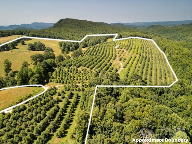 TBD Summer Rd, Hendersonville, NC 28792