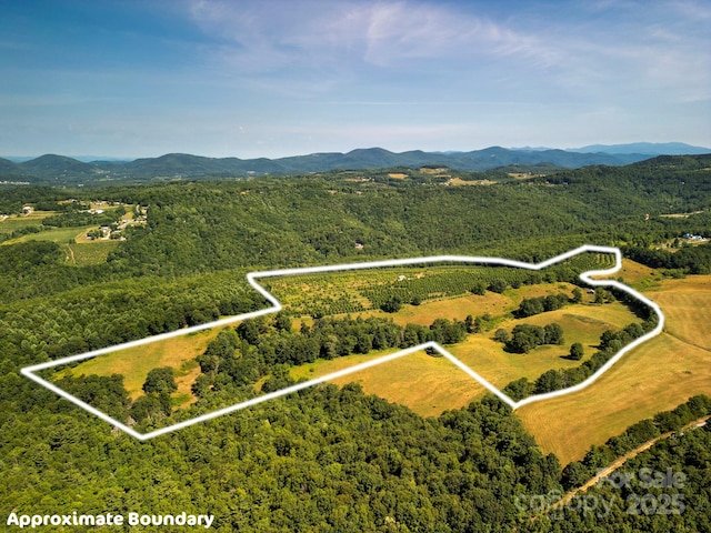 TBD Summer Rd, Hendersonville, NC 28792