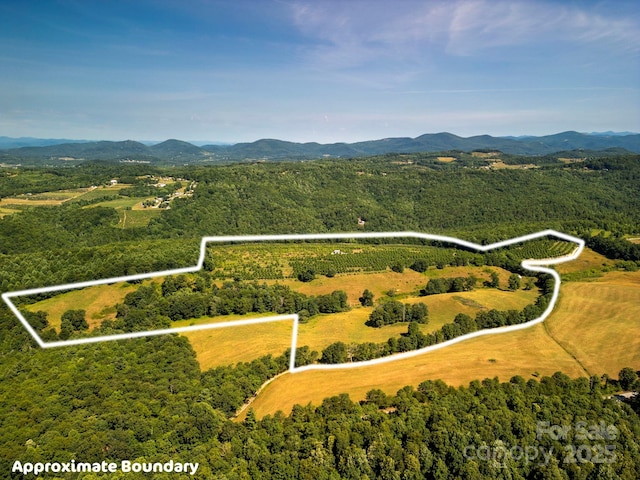 TBD Summer Rd, Hendersonville, NC 28792