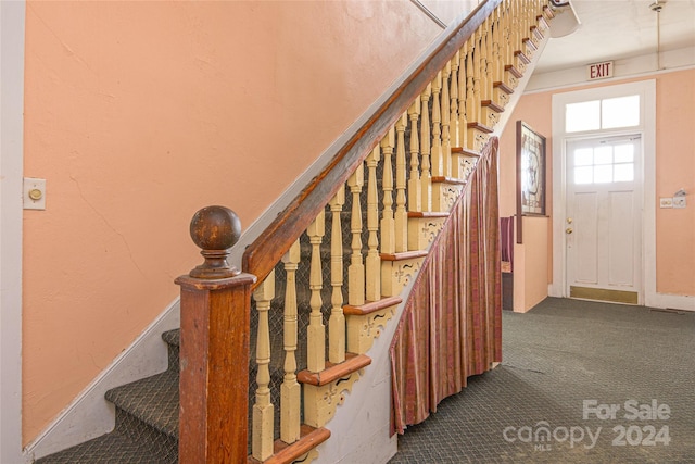 staircase with carpet flooring