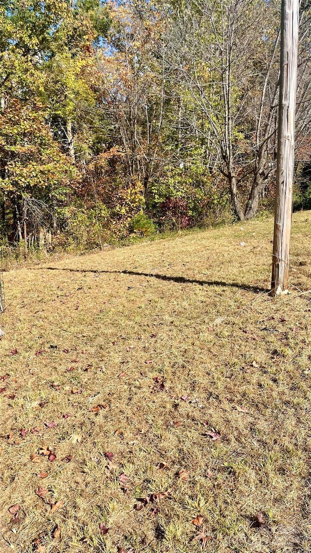 5173 Laurel Haven Ave, Morganton, NC 28655 - view of grassy yard
