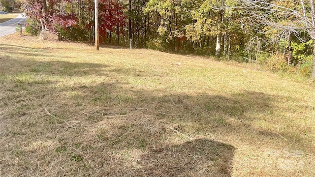 5173 Laurel Haven Ave, Morganton, NC 28655 - view of grassy yard