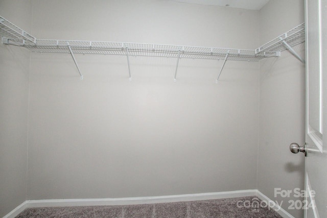 walk in closet with carpet