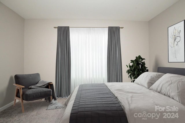 bedroom featuring carpet floors