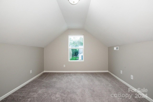 additional living space with carpet and lofted ceiling