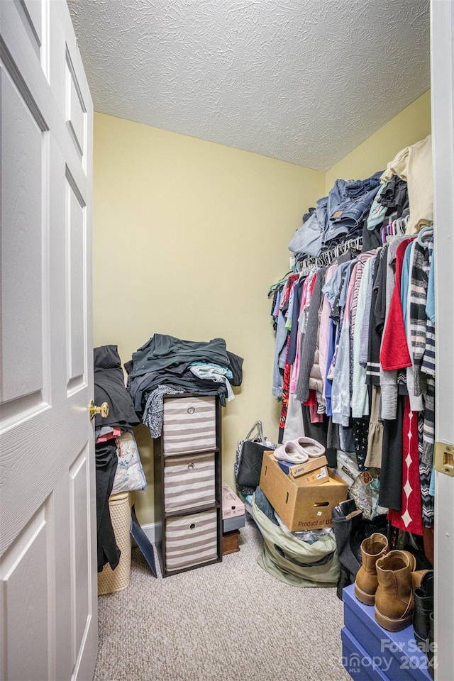 spacious closet with carpet