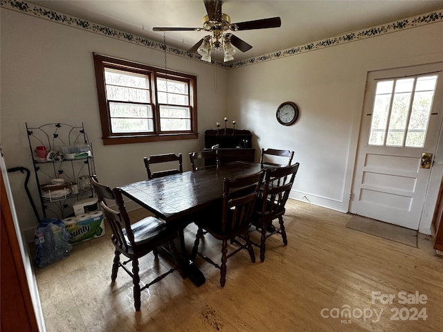 dining room with ceiling fan and light wood-type flooring