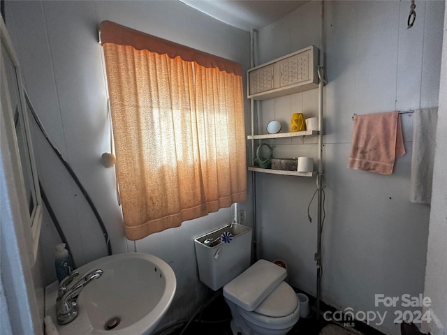 bathroom with sink and toilet