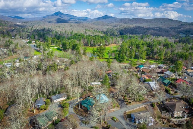 33 Summit Ln, Newland, NC 28657 - photo 9