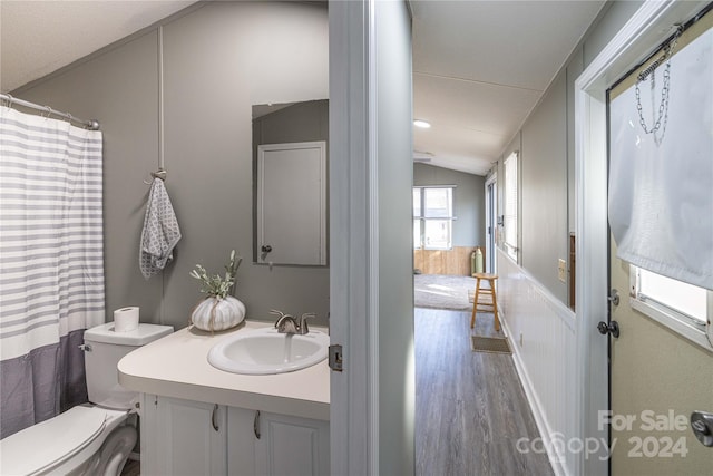 bathroom featuring toilet, hardwood / wood-style floors, vanity, and vaulted ceiling