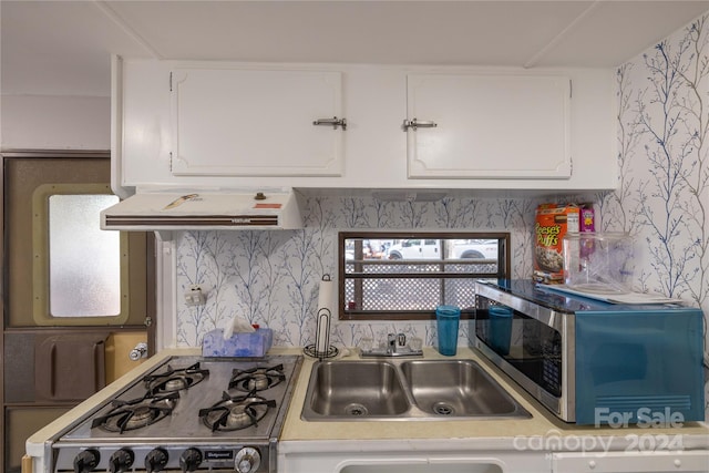 kitchen with white cabinetry, ventilation hood, appliances with stainless steel finishes, and sink