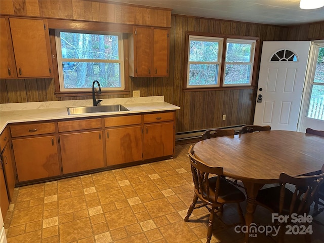 kitchen featuring wood walls, a healthy amount of sunlight, and sink