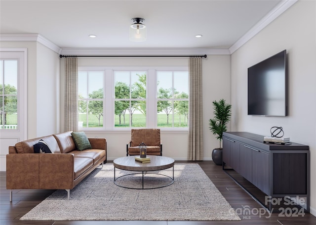 living room featuring dark hardwood / wood-style flooring and ornamental molding