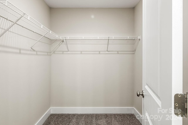 spacious closet with carpet flooring