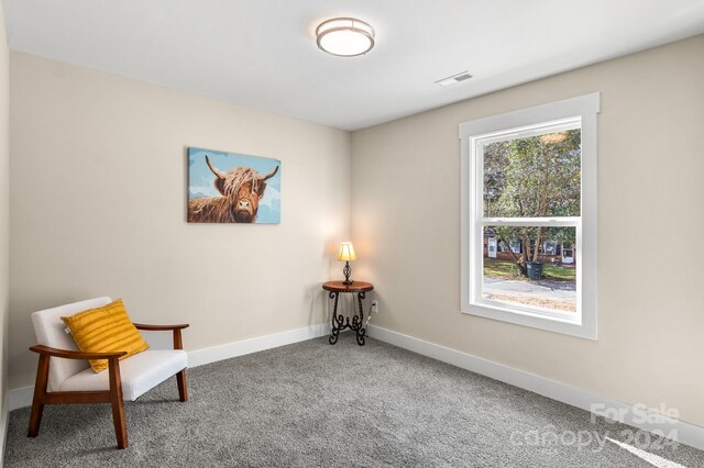 living area featuring carpet flooring